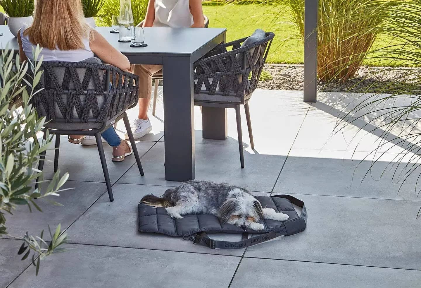 Travel with Ease Using Our Dog Travel Bed