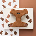 Load image into Gallery viewer, Adjustable and cozy Teddy Paddington Dog Harness
