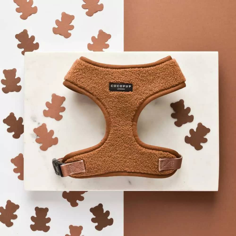Adjustable and cozy Teddy Paddington Dog Harness