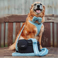 Load image into Gallery viewer, Water-resistant cross body dog walking bag in the rain
