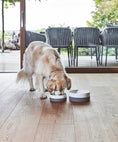 Load image into Gallery viewer, Coppa's minimalist design dog bowl in porcelain
