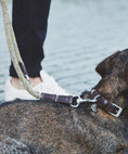 Load image into Gallery viewer, Durable and chic leash for dog walks
