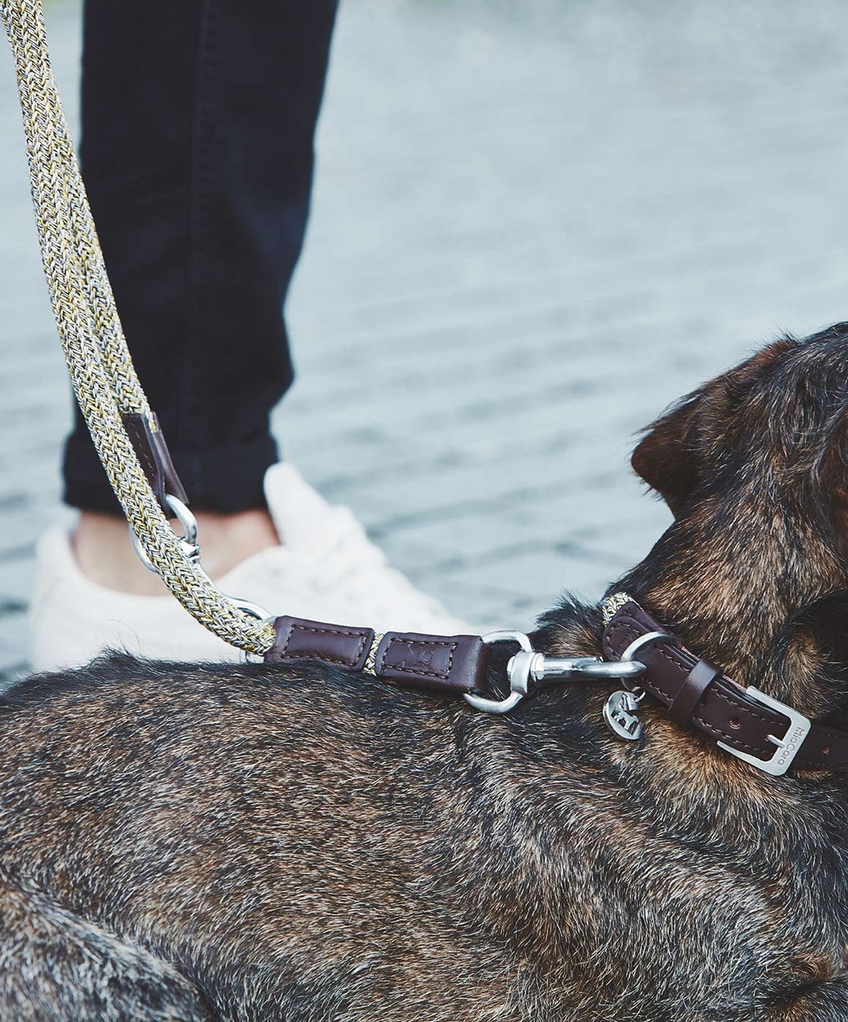 Durable and chic leash for dog walks