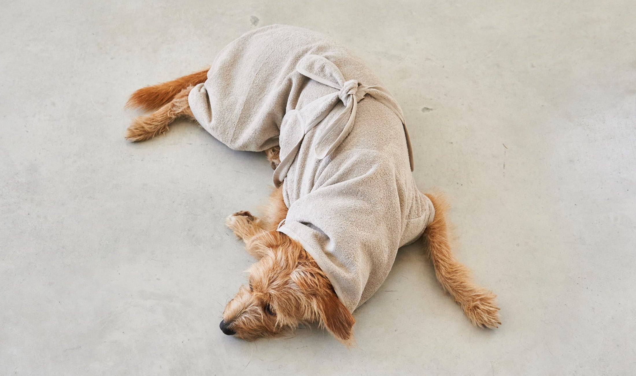 Bagno Dog Bath Robe: Ultimate Comfort and Cleanliness