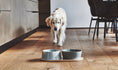 Load image into Gallery viewer,  Doppio Dog Bowl
