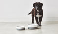 Load image into Gallery viewer, Functional and chic the pet bowl by Coppa for pets
