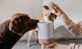 Load image into Gallery viewer, Minimalist dog treat storage solution
