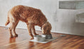 Load image into Gallery viewer,  Doppio Dog Bowl
