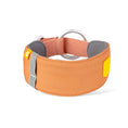Load image into Gallery viewer, Dog Lovers Collars in orange color
