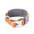 Load image into Gallery viewer, Dog collars Recycled
