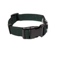 Load image into Gallery viewer, Evergreen dog collar and matching leash set
