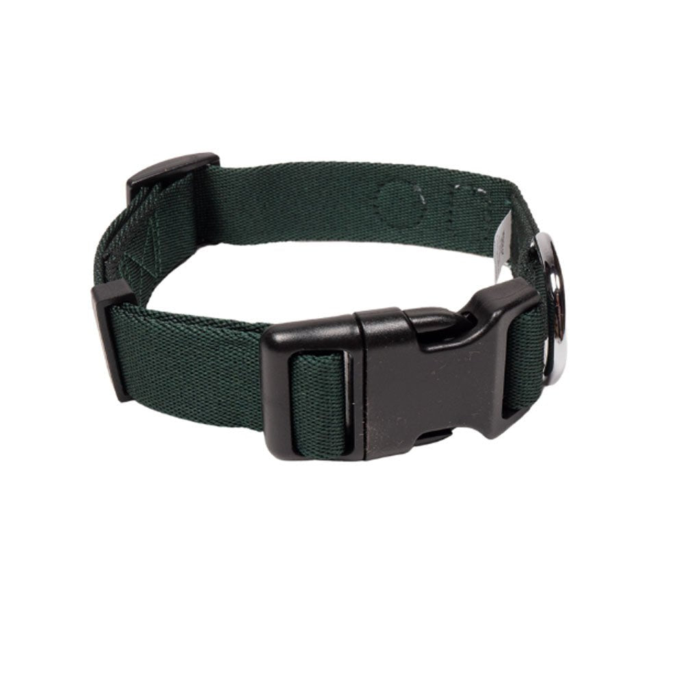 Evergreen dog collar and matching leash set
