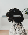 Load image into Gallery viewer, Ramo chew toy by Hans Thyge & Co - stylish and safe for dogs
