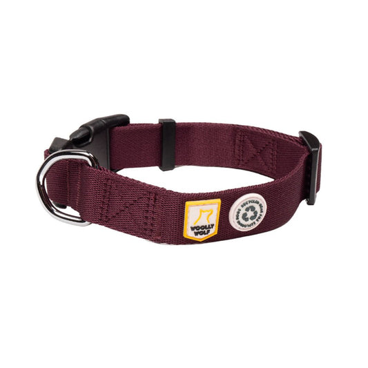 Juicy Plum comfortable dog collar on a playful puppy