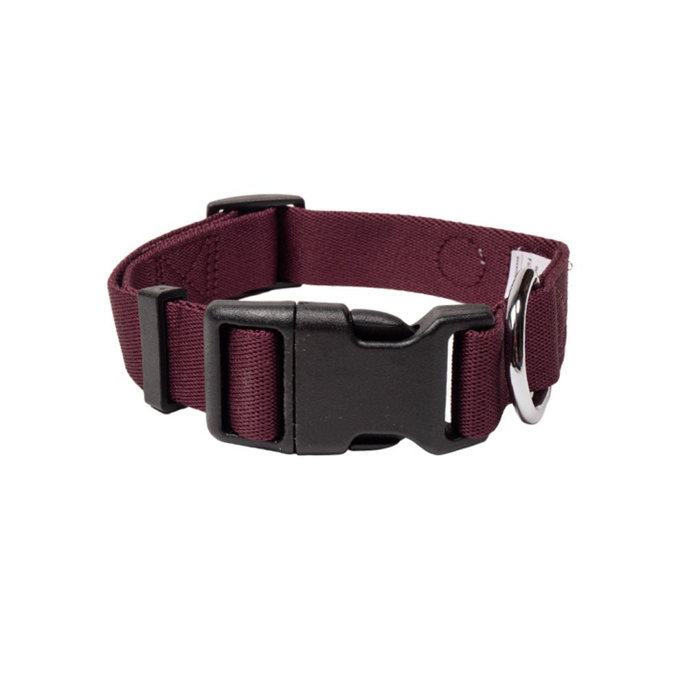 Eco-friendly comfortable dog collar made from recycled materials