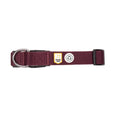 Load image into Gallery viewer, Adjustable and comfortable dog collar in Juicy Plum
