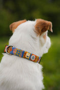 Load image into Gallery viewer, Comfortable and durable dog collar for everyday walks
