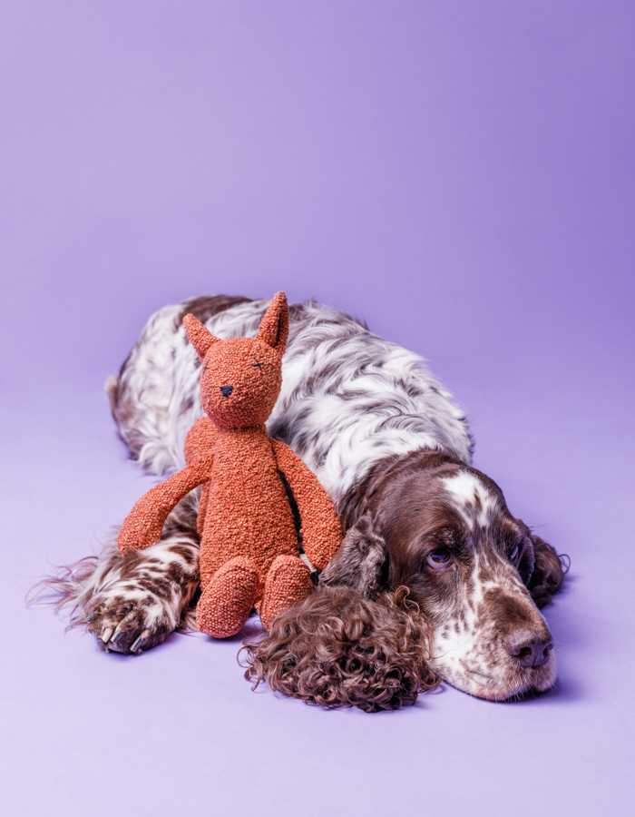 Durable and safe squirrel dog toy for endless fun