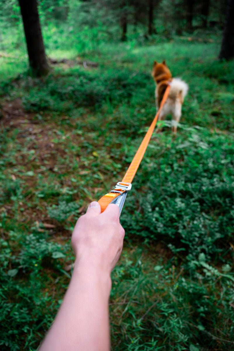 Sustainable dog leash with adjustable length feature
