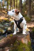 Load image into Gallery viewer, Adjustable Woolly Wolf Dog Harness ensuring a perfect fit for any dog size
