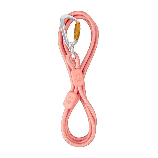 Close-up of salmon pink dog leash’s aluminum twist-lock carabiner