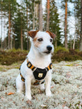 Load image into Gallery viewer, Eco-friendly Sea to Summit Dog Harness made from recycled polyester
