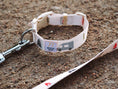 Load image into Gallery viewer, Explore with the durable, stylish Vanlife premium dog collar
