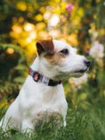 Load image into Gallery viewer, Durable and tested Wild Rose Dog Collar for adventurous medium dogs
