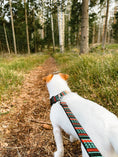 Load image into Gallery viewer, Durable and comfortable woodland dog leash for everyday walks.
