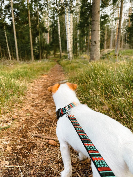 Durable and comfortable woodland dog leash for everyday walks.