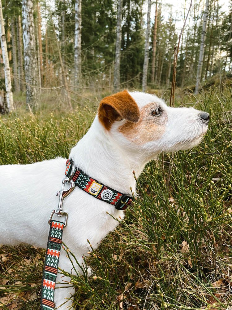 Eco-friendly woodland dog leash with stainless steel hardware.