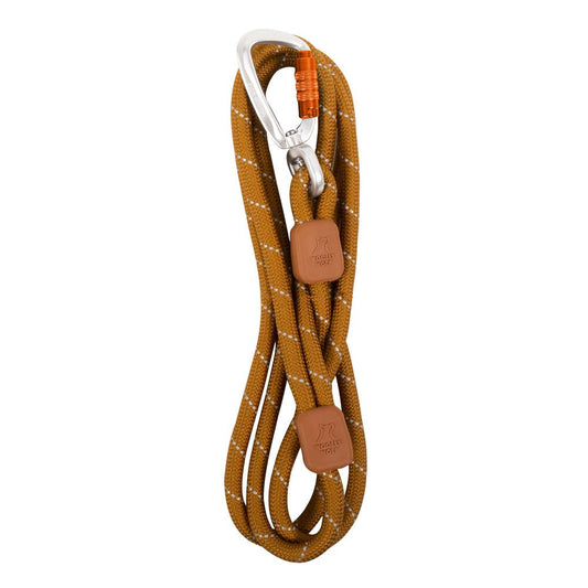 Woolly Wolf Honey Ginger walking dog lead in use