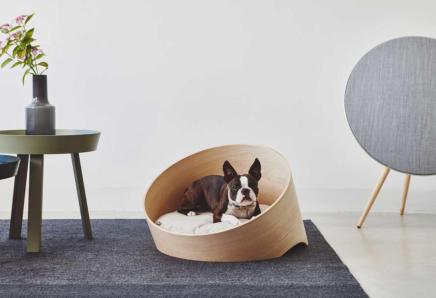Finding the Perfect Bed for Your Small Pup: A Guide to Small Dog Beds - Dog Lovers