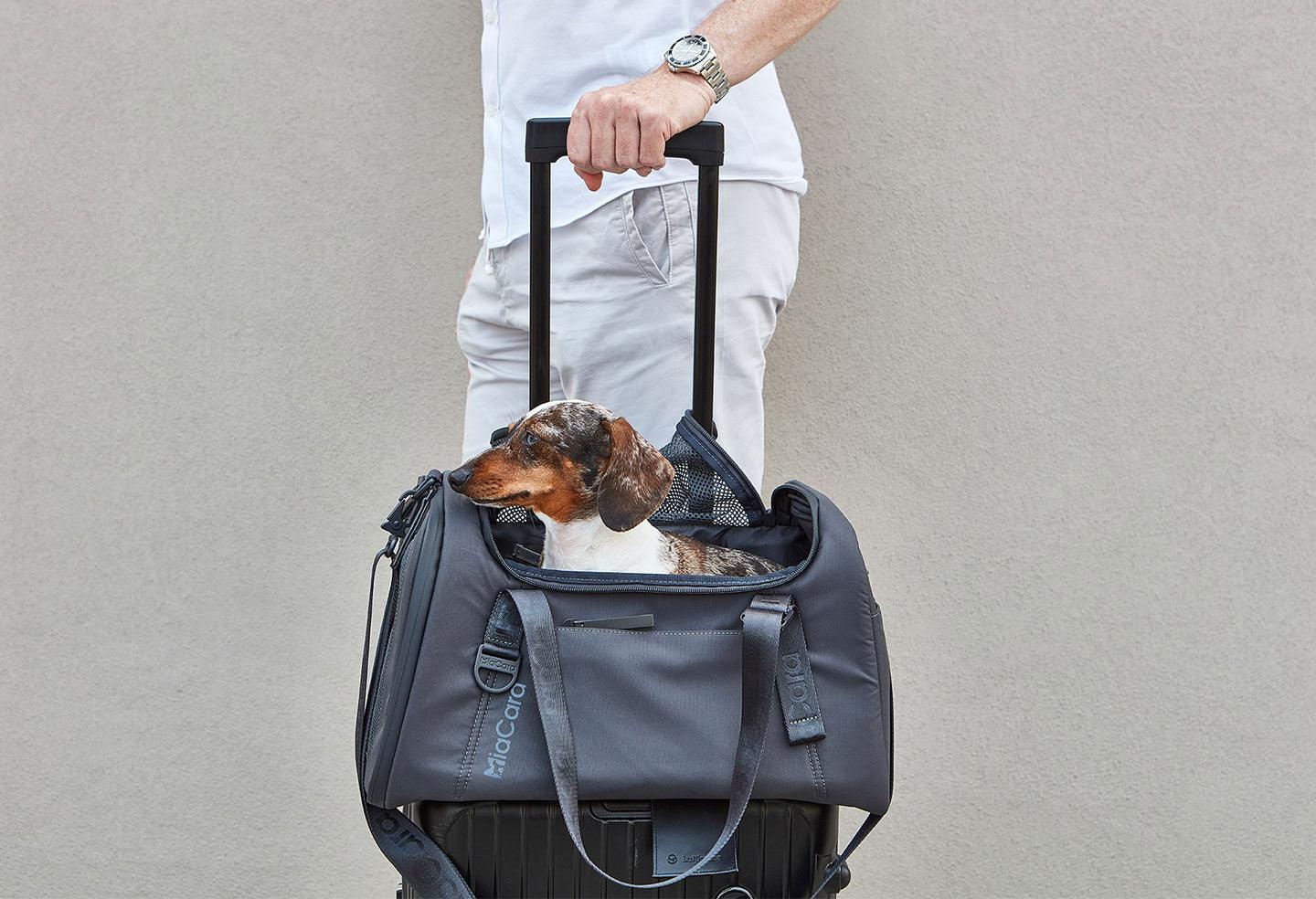 Volata Airline Dog Travel Carrier - Dog Lovers