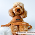 Caricare l'immagine nel visualizzatore della Galleria, Puppy leash with durable swivel clip attached to collar
