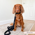 Cargar imagen en el visor de la Galería, Close-up of Teddy Baloo dog lead's comfortable padded handle
