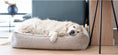 Load image into Gallery viewer, Buklaa Dog Bed Labbvenn
