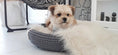 Load image into Gallery viewer, COCO dog bed (100% Handmade) Labbvenn
