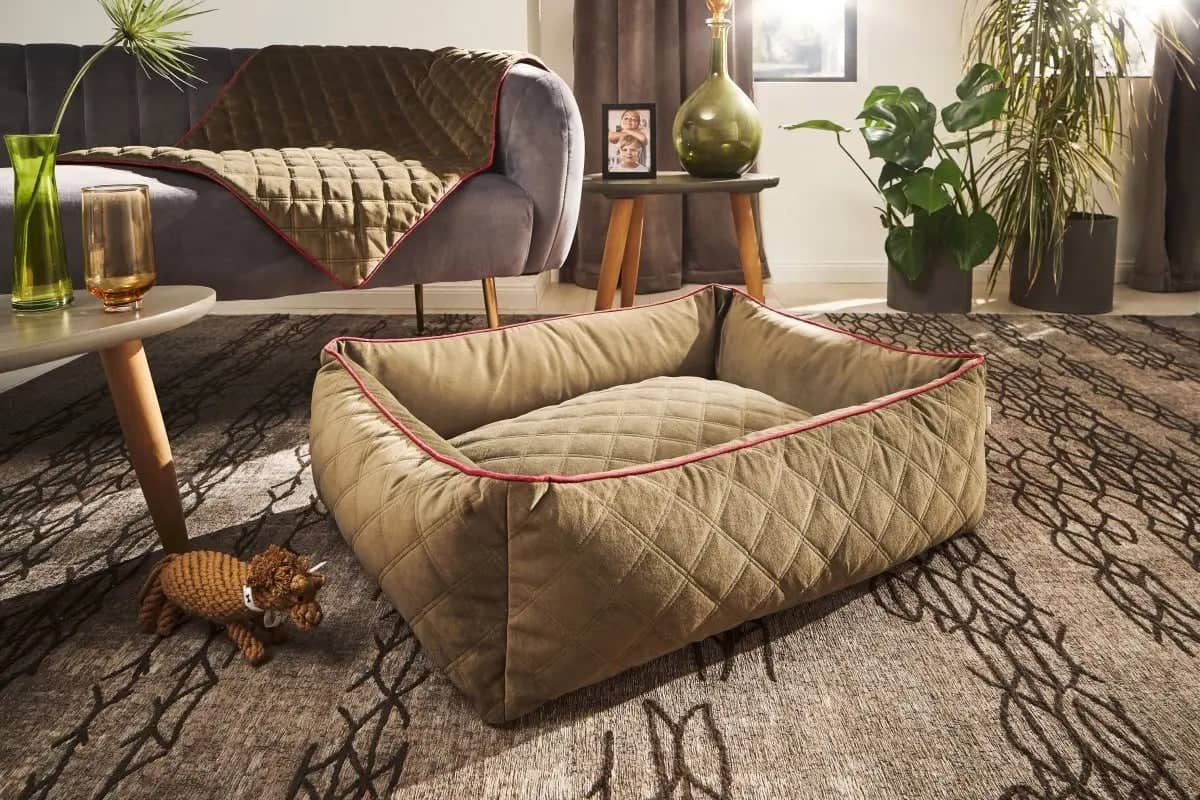 Indoor pet blankets and beds