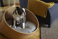 Load image into Gallery viewer, Covo Dog Bed MiaCara
