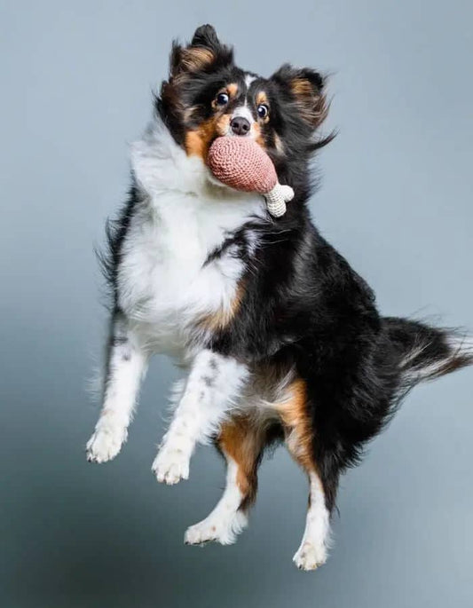 Eco-friendly CHICKEN LEG chew toy for pets