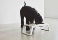 Load image into Gallery viewer, Desco Dog Feeder - bent plywood - Dog Lovers
