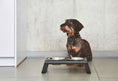 Load image into Gallery viewer, Desco Dog Feeder - Dog Lovers
