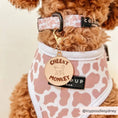 Load image into Gallery viewer, Dog Collar Charm - Cheeky Monkey Cocopup London
