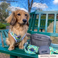 Load image into Gallery viewer, Best Bag for Dog Walking
