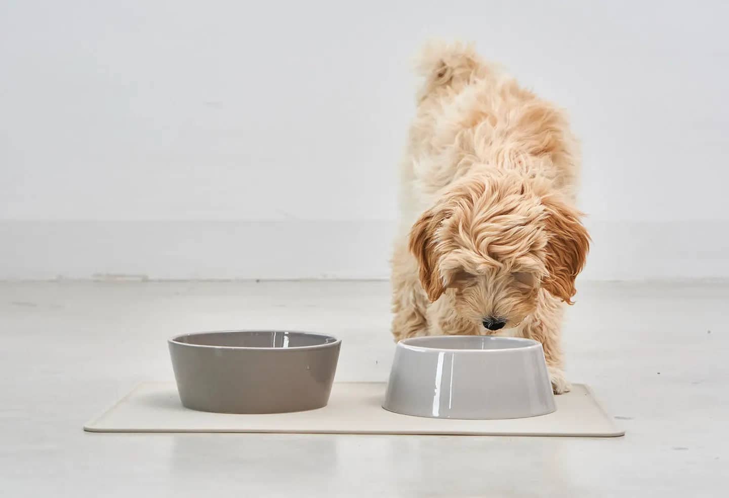 Dog feeder Set Doppio  - Premium Porcelain