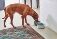 Laden Sie das Bild in den Galerie-Viewer, Dog feeder Set Doppio  - Premium Porcelain
