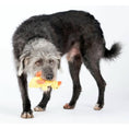 Load image into Gallery viewer, LABONI dog toy Emma Ente tested for safety
