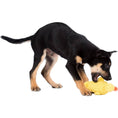 Load image into Gallery viewer, Emma Ente Rope Dog Toy - Dog Lovers
