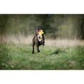 Laden Sie das Bild in den Galerie-Viewer,  Best dog toys - Dog Lovers
